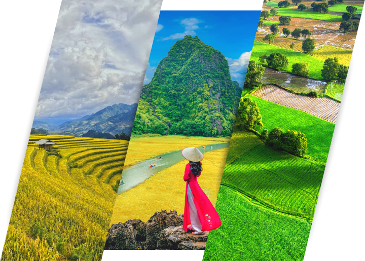 Experience Peace of Mind: Travel Safely Without Terrorism Threats