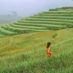 Chiêm ngưỡng Sapa – Vẻ đẹp quyến rũ của miền sơn cước