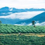 Những điểm đến trải nghiệm mùa đông tuyệt vời nhất Việt Nam