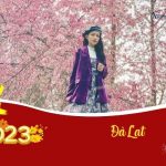 Tour du Lịch Nha Trang – Đà Lạt Mùng 3 Tết | Biển Cà Ná, Thung Lũng Tình Yêu, Đỉnh Langbiang