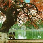 Tour Hà Nội – Yên Tử – Hạ Long – Sapa – Ninh Bình 6N5Đ