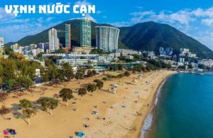 Tour Hồng Kông 4N3Đ từ Hà Nội: Khám Phá Điểm Đến Huyền Thoại Xứ Cảng Thơm