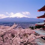 Tour Hoa Anh Đào Nhật Bản 6N5Đ – Hành Trình Từ Tokyo Đến Osaka