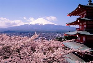 Tour Hoa Anh Đào Nhật Bản 6N5Đ – Hành Trình Từ Tokyo Đến Osaka