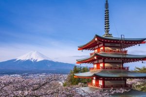 Tour Nhật Bản Mùng 2 Tết 5N5Đ | HCM – Osaka – Kyoto – Yamanashi – Tokyo | Ngắm Hoa Anh Đào