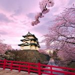 Tour du lịch Nhật Bản 7 ngày 6 đêm | Kyoto – Osaka – Fuji – Tokyo | Ngắm hoa anh đào