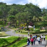 Đà Lạt và những điểm du lịch kỳ bí cho tháng 2/2024