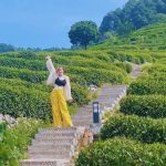 Thời điểm du lịch Trung Quốc – Du lịch Trung Quốc mùa nào đẹp?