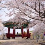 Tour Seoul – Đảo Nami – Everland – Bibap show Hàn Quốc mùng 5 Tết