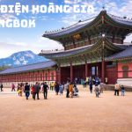 Tour Hàn Quốc 5N4Đ: Hành Trình Khám Phá Seoul – Nami – Lotte World