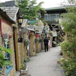 Ghé thăm Shizuoka xanh sạch đẹp nhất ở Nhật Bản
