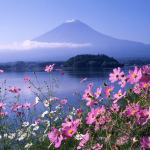 Tour du lịch Nhật Bản Lễ 30/4: Kobe – Osaka – Kyoto – Shizuoka – Tokyo 6N5Đ