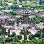 Điểm danh những trải nghiệm 0 đồng ở Singapore