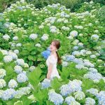 Tour du lịch Hàn Quốc 30/04 01/05 giá rẻ siêu hấp dẫn: Một chuyến vi vu Hawaii của Hàn Quốc