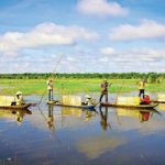 Tour du lịch Miền Tây 6 ngày 5 đêm | Long An – Tiền Giang – Bến Tre – Đồng Tháp – An Giang