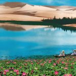 Bàu Trắng – Tiểu sa mạc Sahara trong lòng Phan Thiết
