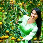 Kinh nghiệm để có một chuyến du lịch Vĩnh Long thú vị