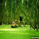 5 rừng tràm tuyệt đẹp ở miền Tây