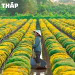 Tour du lịch Đồng Tháp – Gáo Giồng 1 ngày (T7, CN hàng tuần)