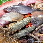 Những món đặc sản ăn là ghiền chỉ có riêng ở Phan Thiết