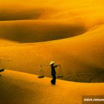 Hè này đi du lịch biển Phan Thiết bổ sung “vitamin sea” ngay nào!