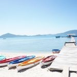 Tour du lịch Điệp Sơn Phú Yên 3 ngày 3 đêm | Chinh phục con đường dưới biển – Ngắm hoa vàng trên cỏ xanh