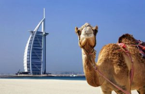 Tour du lịch Dubai từ Hà Nội: Khám phá sự giàu có, sa hoa bậc nhất 6N5Đ