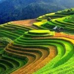 Tour du lịch Hà Nội – Sapa: Khám phá mùa thu miền Bắc (4N3Đ)