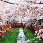 Tour du lịch Hàn Quốc lễ 2/9: Incheon – Nami – Everland – Cung Điện 5N4Đ