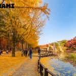 Tour Hàn Quốc mùa thu 5 Ngày 4 Đêm: Seoul – Jeju – Nami