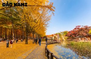 Tour Hàn Quốc mùa thu 5 Ngày 4 Đêm: Seoul – Jeju – Nami