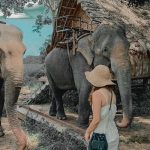 Tour Tây Nguyên 4 Ngày 3 Đêm: Khám Phá Vẻ Đẹp Đại Ngàn