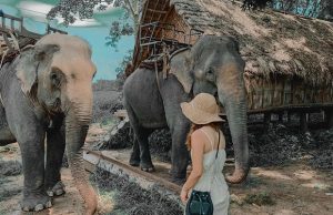 Tour Tây Nguyên 4 Ngày 3 Đêm: Khám Phá Vẻ Đẹp Đại Ngàn