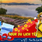 Tour Du Lịch Đà Lạt 3 Ngày 3 Đêm: Khám Phá Thiên Đường Săn Mây