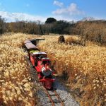 Tour Hàn Quốc 4N4Đ: Khám Phá Seoul – Trải Nghiệm Văn Hóa & Giải Trí Đỉnh Cao