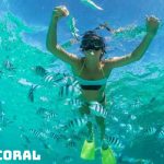 Tour du lịch Thái Lan 5N4Đ | Bangkok | Pattaya | đảo Coral | Baiyoke Sky