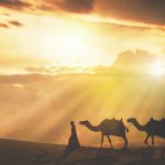 Tour du lịch Singapore – Dubai – Abu Dhabi dịp Tết (6N5Đ): Trải nghiệm thành phố xa hoa