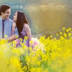 Cúc họa mi vừa tàn, Hà Nội đã kịp vào mùa hoa cải vàng đẹp mê mẩn