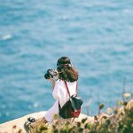 Tuyệt tác du lịch “tứ bình” đẹp như tranh ở Nha Trang