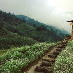 Có gì đẹp hơn thế, những ngày mùa đông ở Sapa