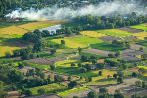 Tour du lịch An Giang 2 ngày 1 đêm: Châu Đốc – Rừng Tràm Trà Sư