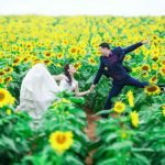 Các điểm ngắm hướng dương đẹp “quên sầu” Bắc tới Nam
