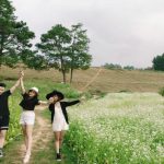 Tour săn mây Tà Xùa| Mộc Châu mùa hoa cải – đồi chè trái tim (2N1Đ)