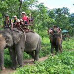 Tour du lịch Tây Nguyên: Hồ Lắk – Buôn Đôn – Măng Đen – Buôn Mê Thuột (5N4Đ)