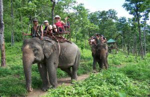 Tour du lịch Tây Nguyên: Hồ Lắk – Buôn Đôn – Măng Đen – Buôn Mê Thuột (5N4Đ)