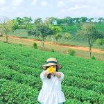 Tour du lịch Đà Lạt 3 ngày 3 đêm thưởng ngoạn cảnh đẹp thành phố ngàn hoa