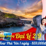Tour hoa vàng trên cỏ xanh 1 ngày | Gành Đá Đĩa – Đầm Ô Loan – Tháp Nghinh Phong