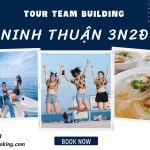 Tour Team Building lửa trại Ninh Chữ Vĩnh Hy 3 ngày 2 đêm: Lặn ngắm san hô – Tham quan Vườn nho