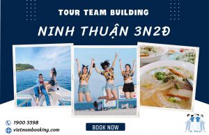 Tour Team Building lửa trại Ninh Chữ Vĩnh Hy 3 ngày 2 đêm: Lặn ngắm san hô – Tham quan Vườn nho