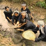 Team Building miền Tây 2 ngày 1 đêm | Trải nghiệm một ngày làm dân miệt vườn